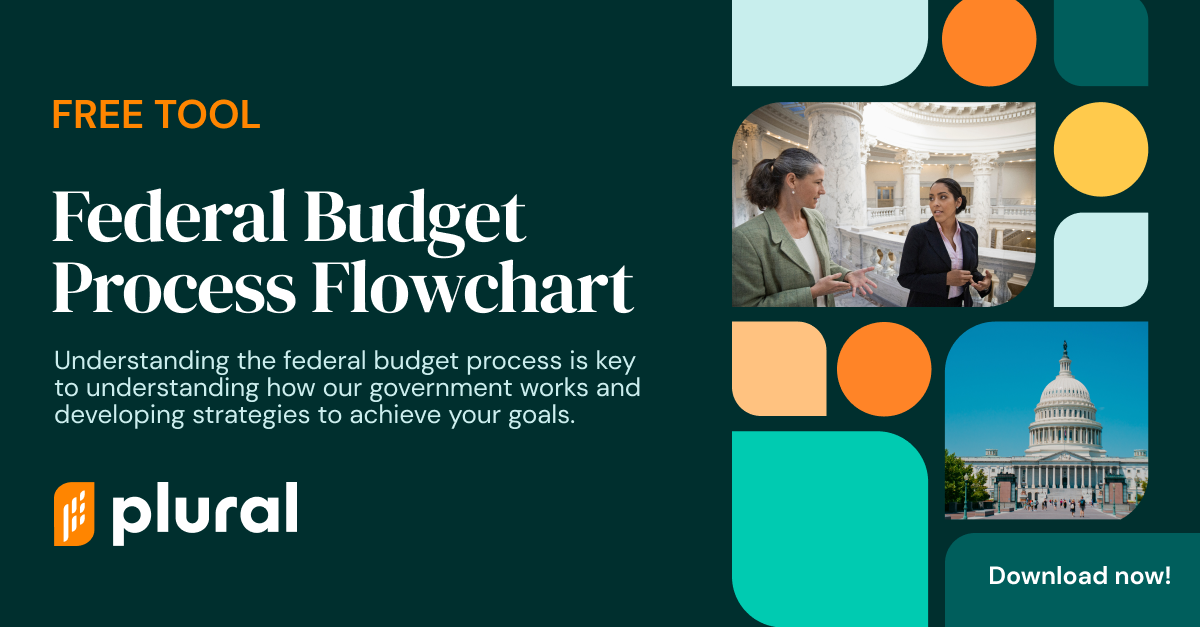 Budget Flowchart